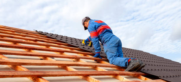 Best Roof Maintenance and Cleaning  in Dickinson, TX